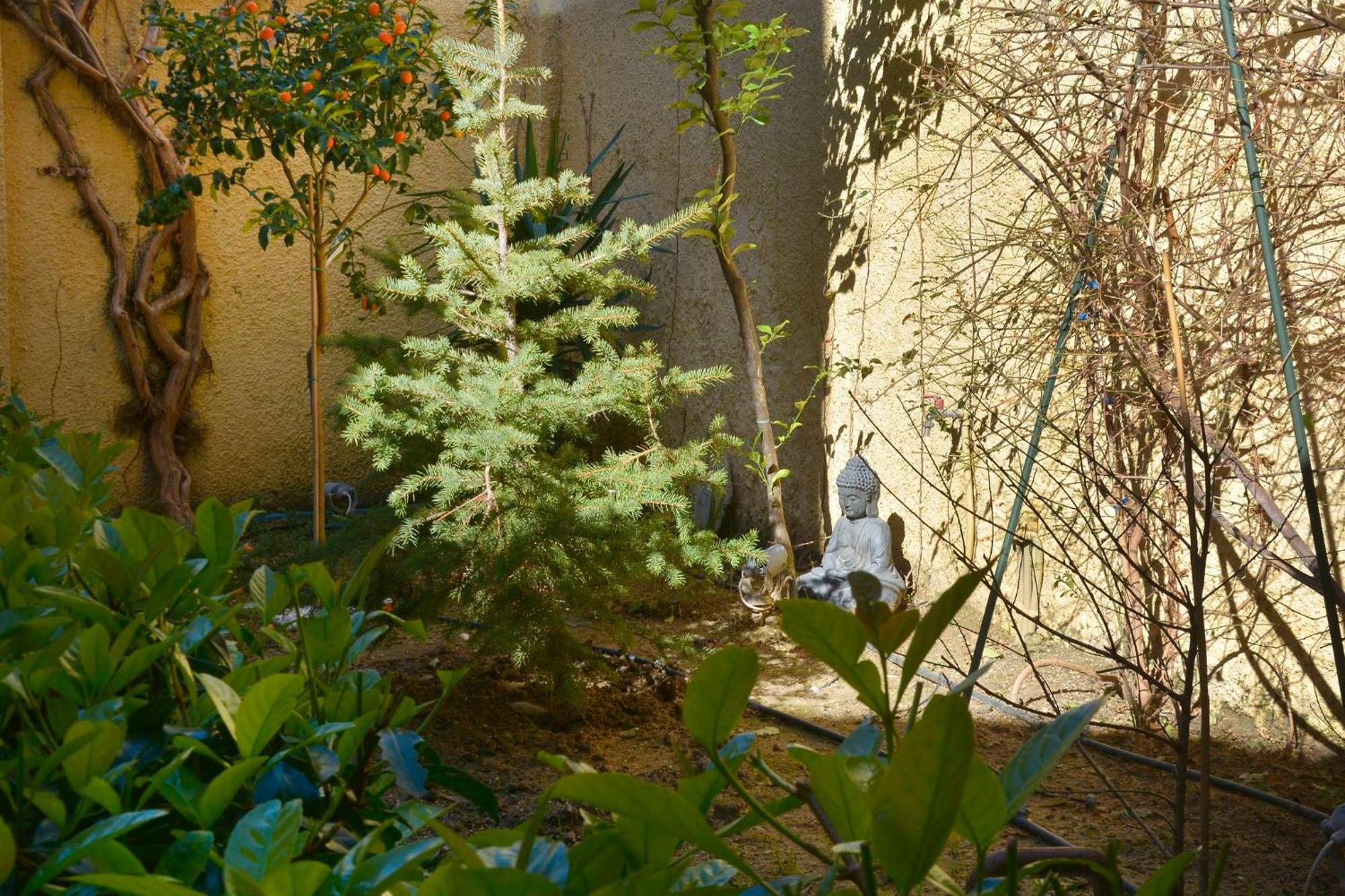 Appartement Τhe Hidden Garden à Corfu  Extérieur photo
