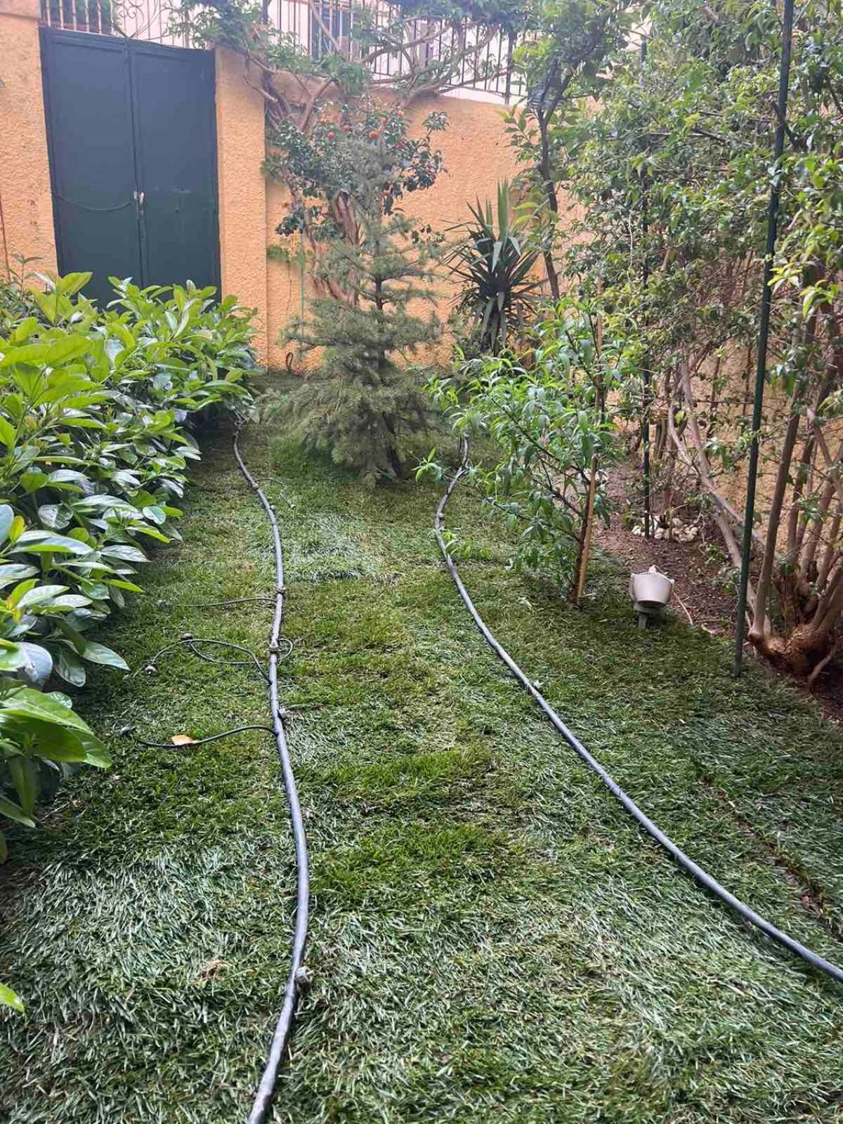 Appartement Τhe Hidden Garden à Corfu  Extérieur photo