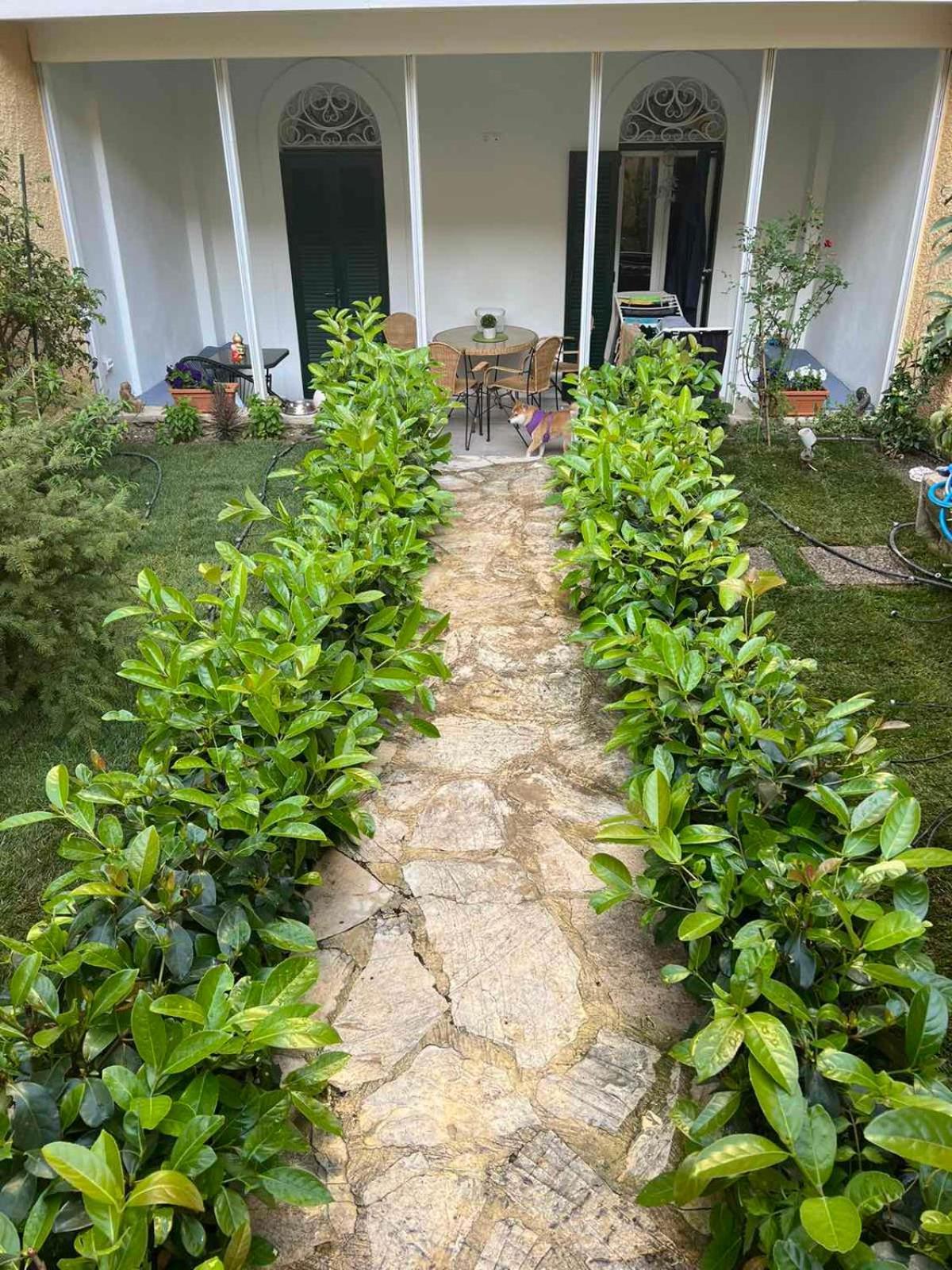 Appartement Τhe Hidden Garden à Corfu  Extérieur photo
